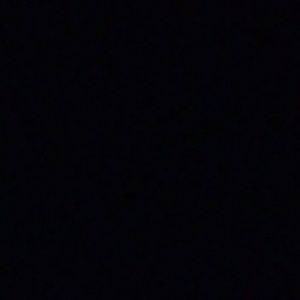 Meet your Posher, Winston